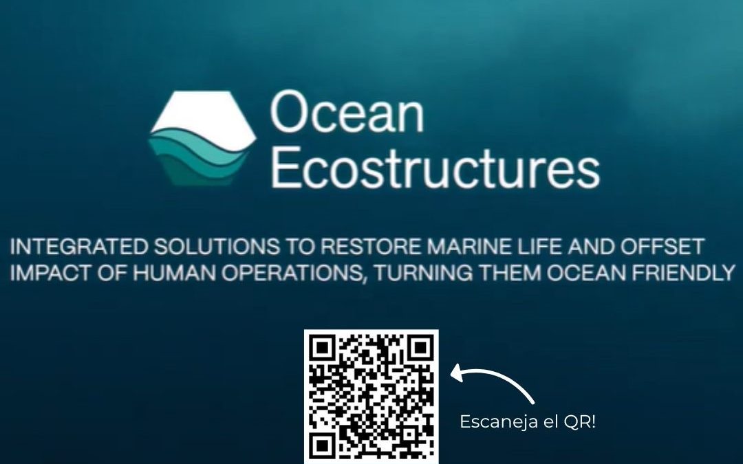 ¿Qué generan los ecosistemas de Ocean Ecostructures?